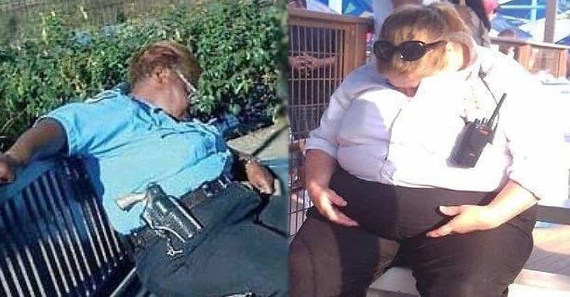 20 Funny Security Guard Fails That Will Make You Laugh 20 Funny Security Guard Fails That Will Make You Laugh
