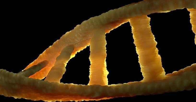 are dominant traits more common