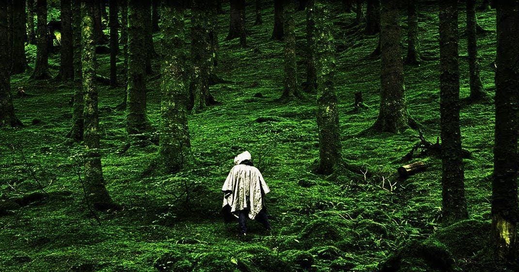 People Describe The Creepiest Things They've Encountered While Hiking