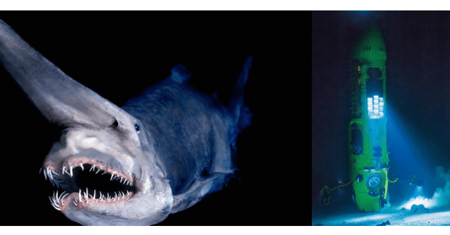 The Creepiest Places in the Ocean