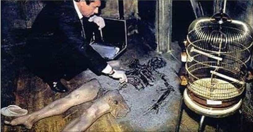 Spontaneous Human Combustion: A Burning Mystery