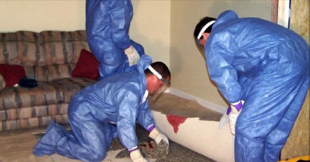 Crime Scene Cleaners Reveal the Most Disturbing Things