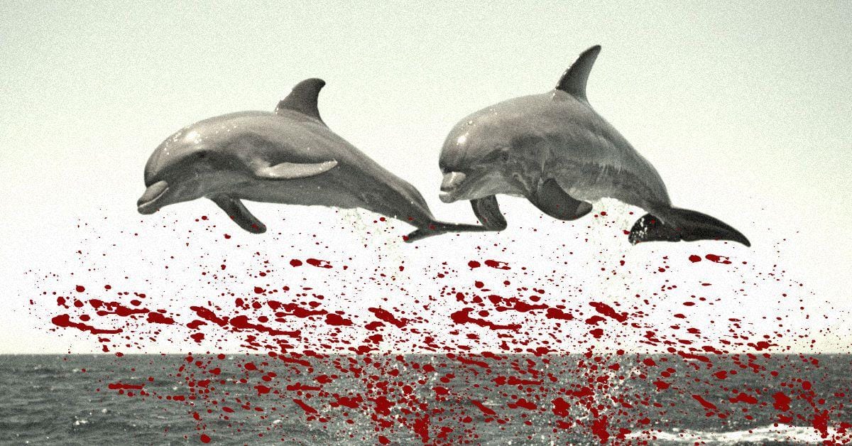 14 Animals That Kill For No Reason