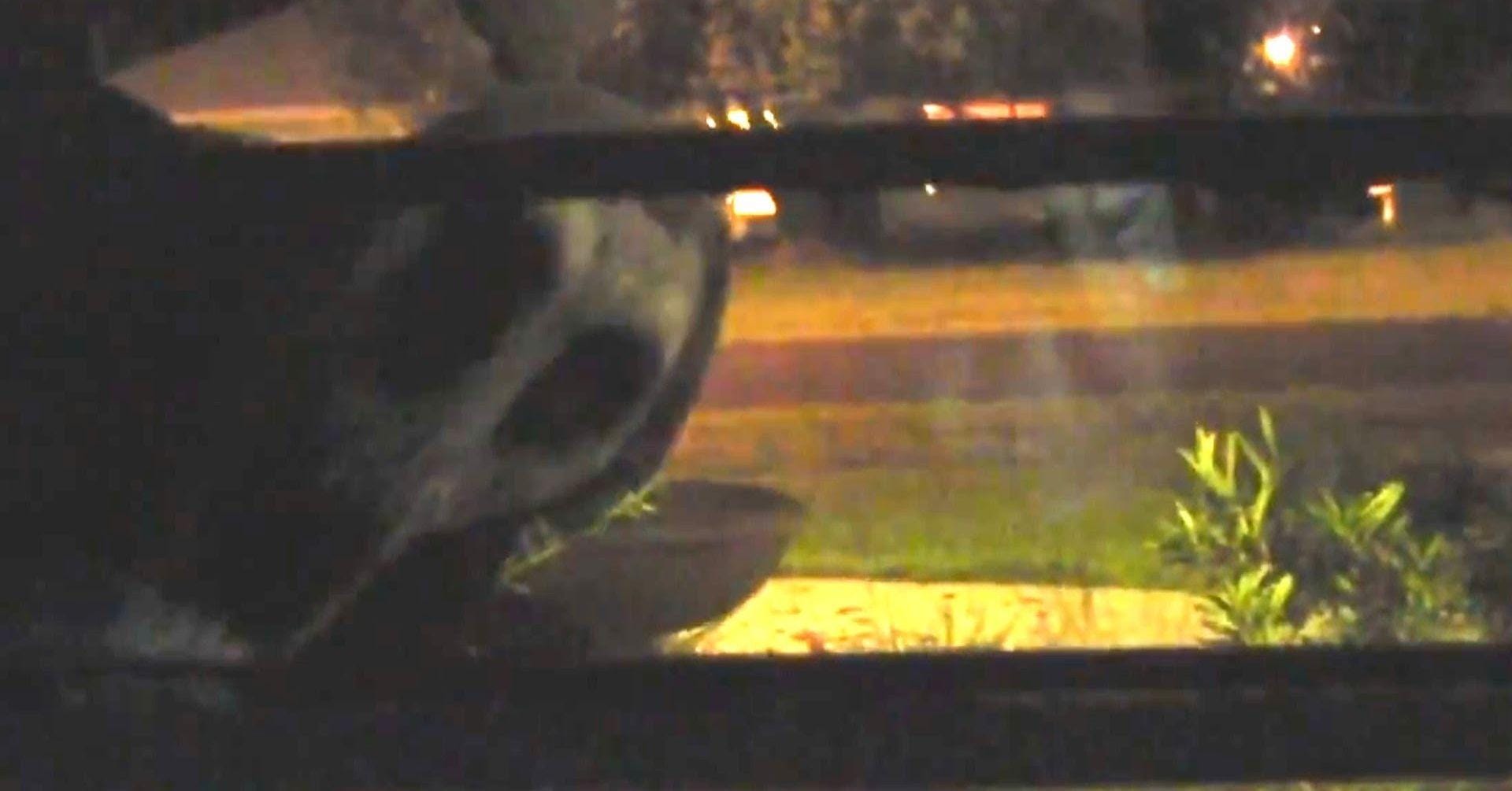 15 Creepy Stories of Things People Have Seen From Their Windows