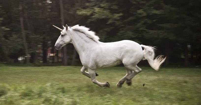 Real Unicorns Existed, And They Were Terrifying