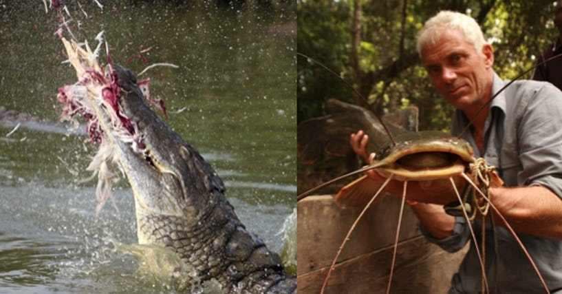 The Craziest Animals That Live In The Nile River You'd Never Want To