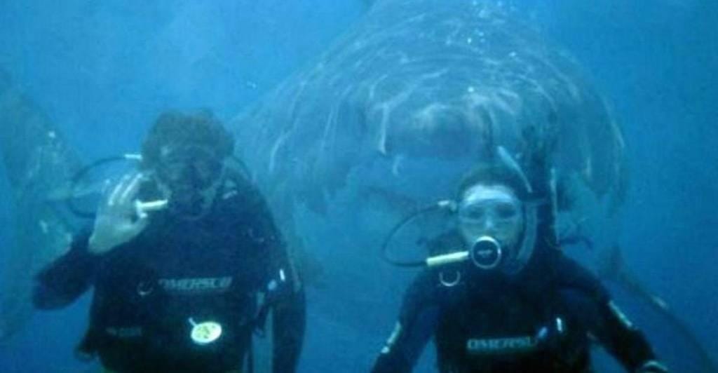 Scuba Divers Describe Their Most Terrifying Underwater Experiences