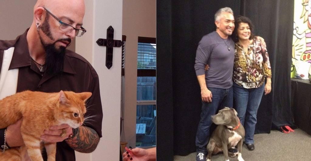 Jackson Galaxy Is Way Better Than Cesar Millan And We Can Prove It