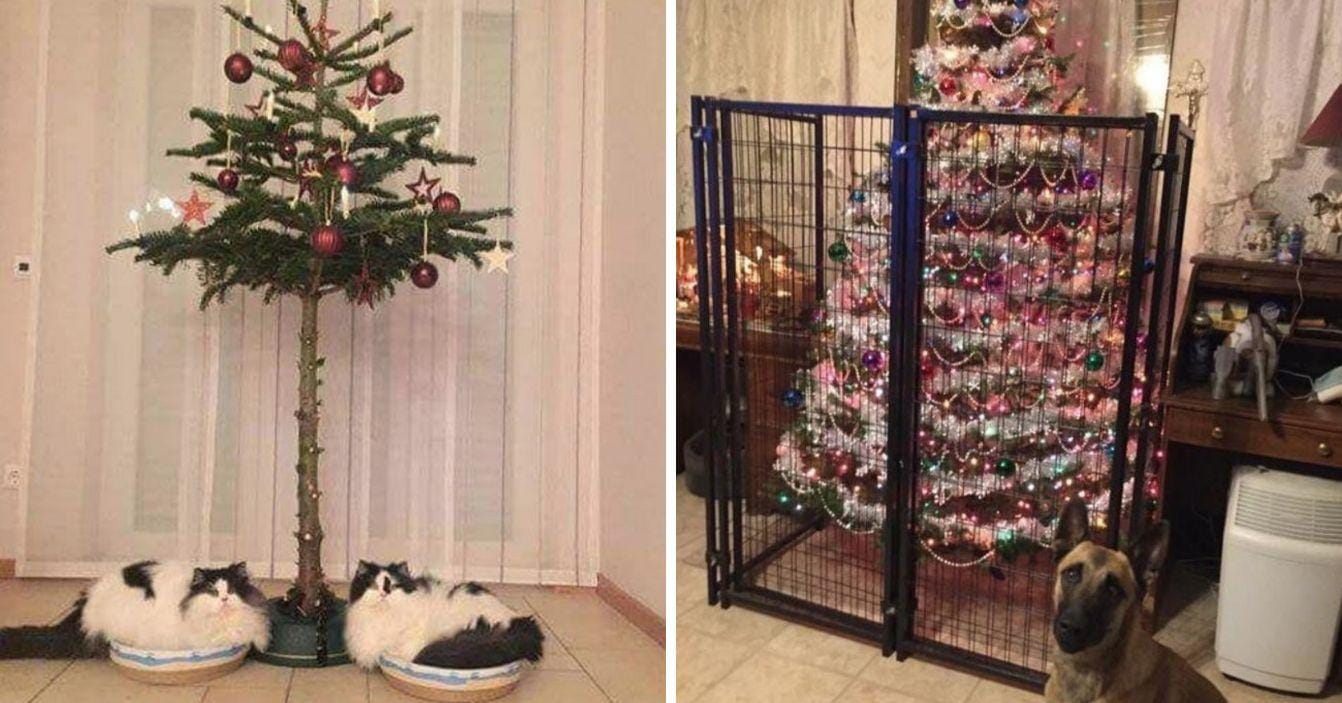 These People Figured Out Genius Hacks To Protect Their Christmas Trees