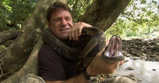 12 Horrific Stories Of Snakes Who Killed Their Owners