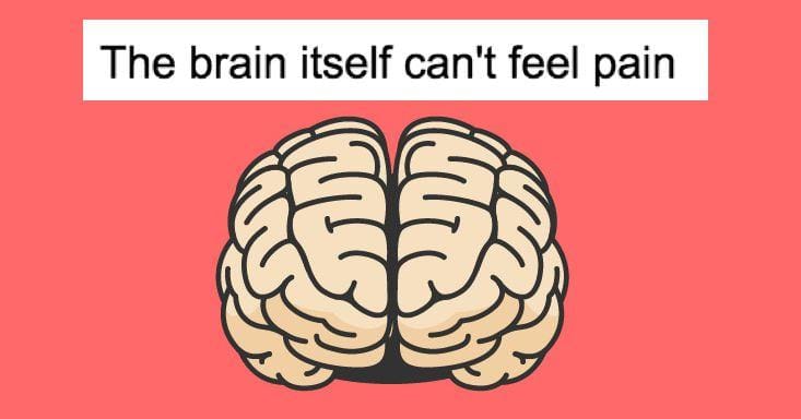 12 Creepy But Fascinating Facts About The Human Brain