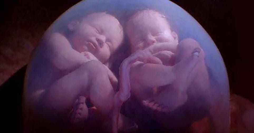 13-gross-things-babies-do-inside-the-womb