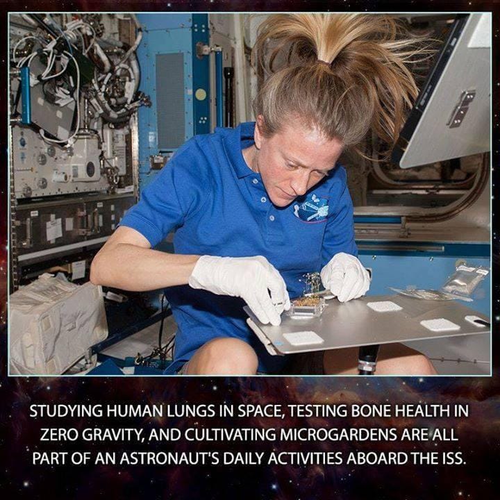 what experiments are conducted on the iss