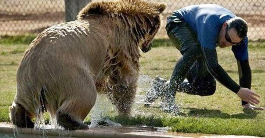 Wild Animal Encounter Tips | Wilderness Survival Guide
