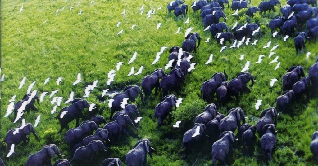 Best Nature TV Shows List UPDATED NOVEMBER 2018