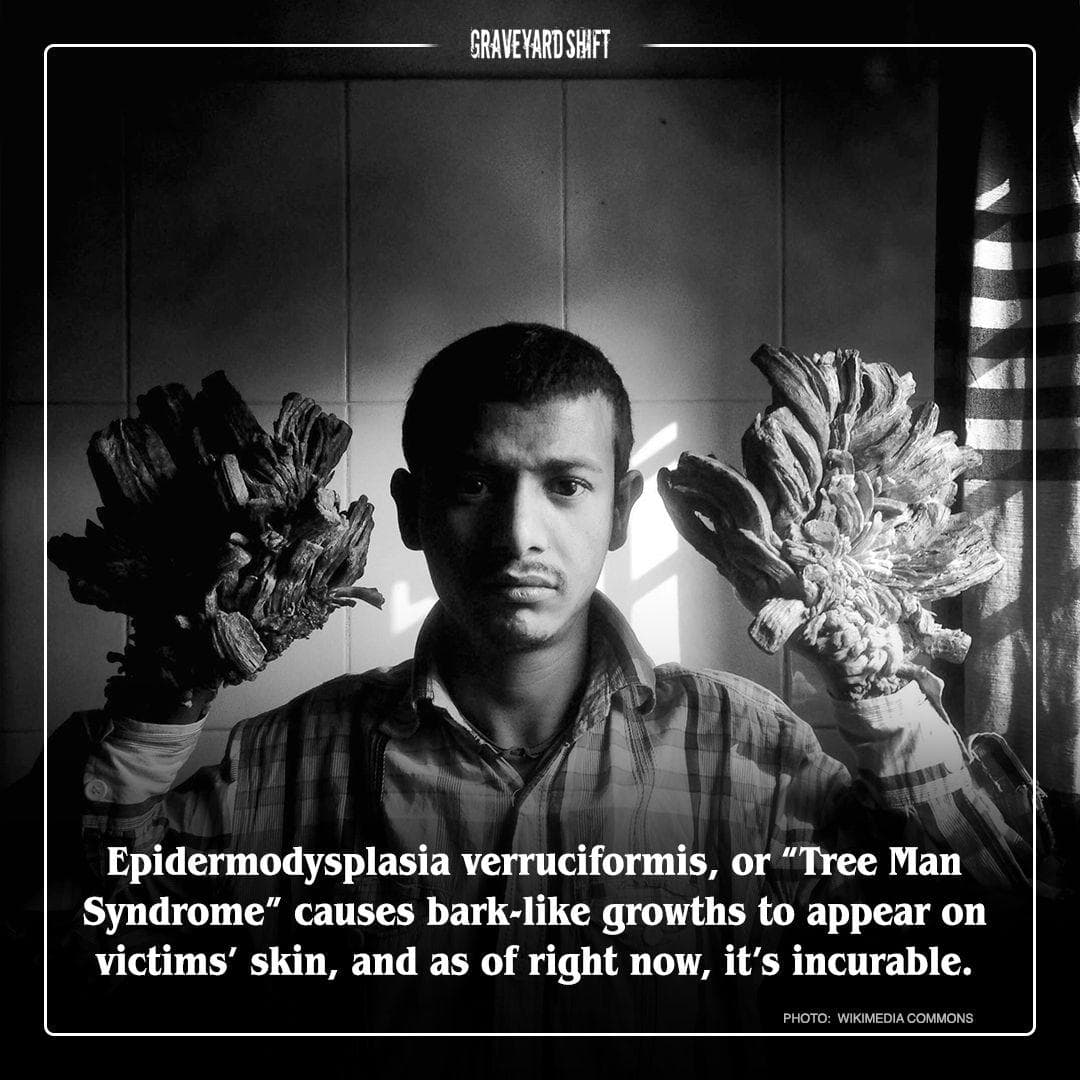 Fairy Tale Stories | The Science of Fairy Tales | Live Science, image size:1080x1080