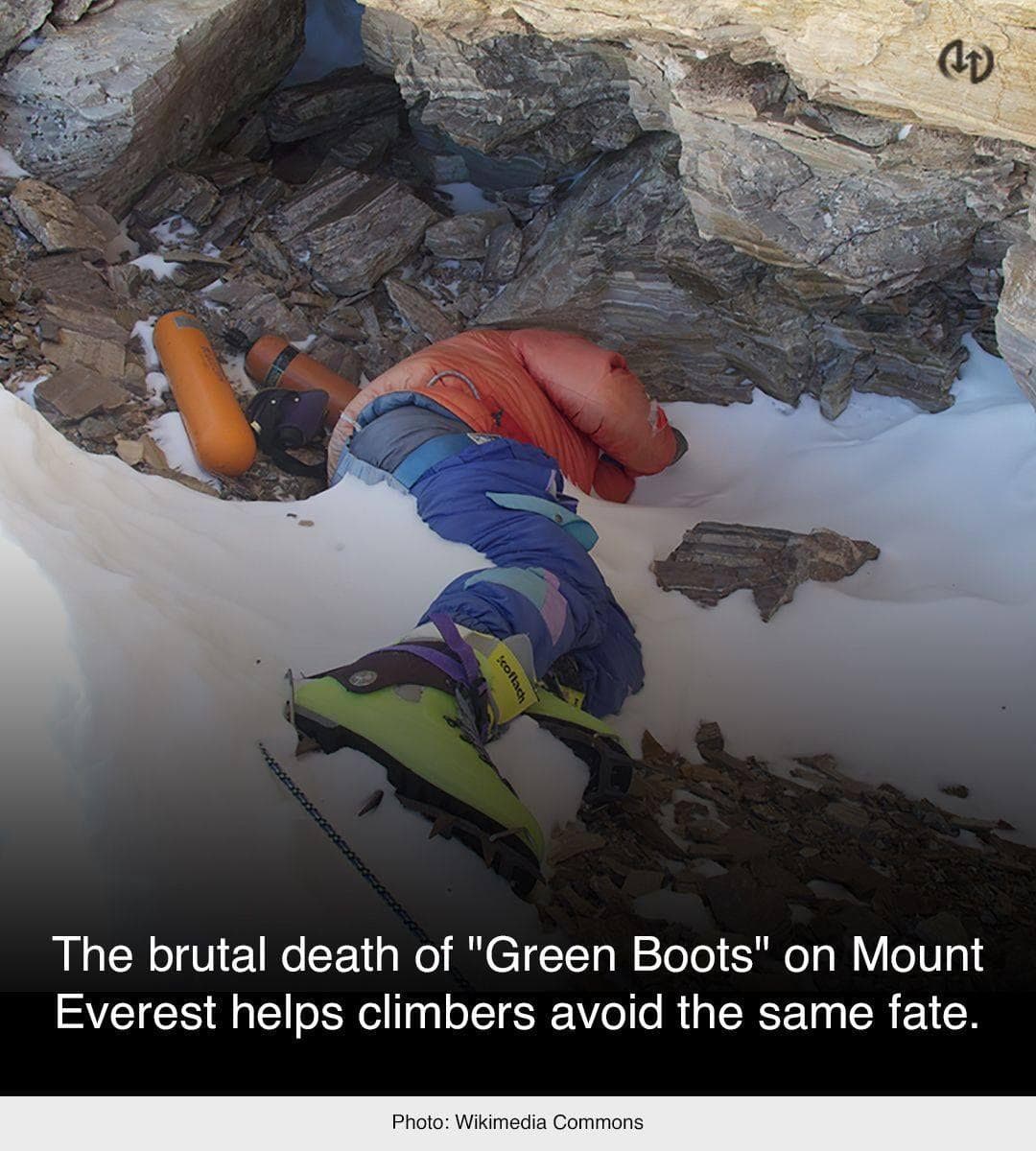 Featured image of post How to Make Bodies On Everest Green Boots