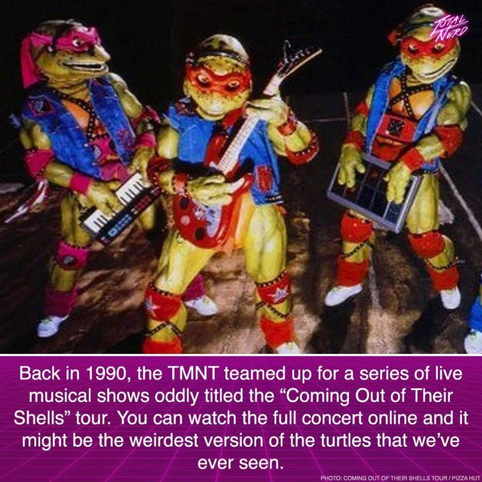 https://imgix.ranker.com/list_social_img/2856/2482856/original/surprising-teenage-mutant-ninja-turtles-facts-u2