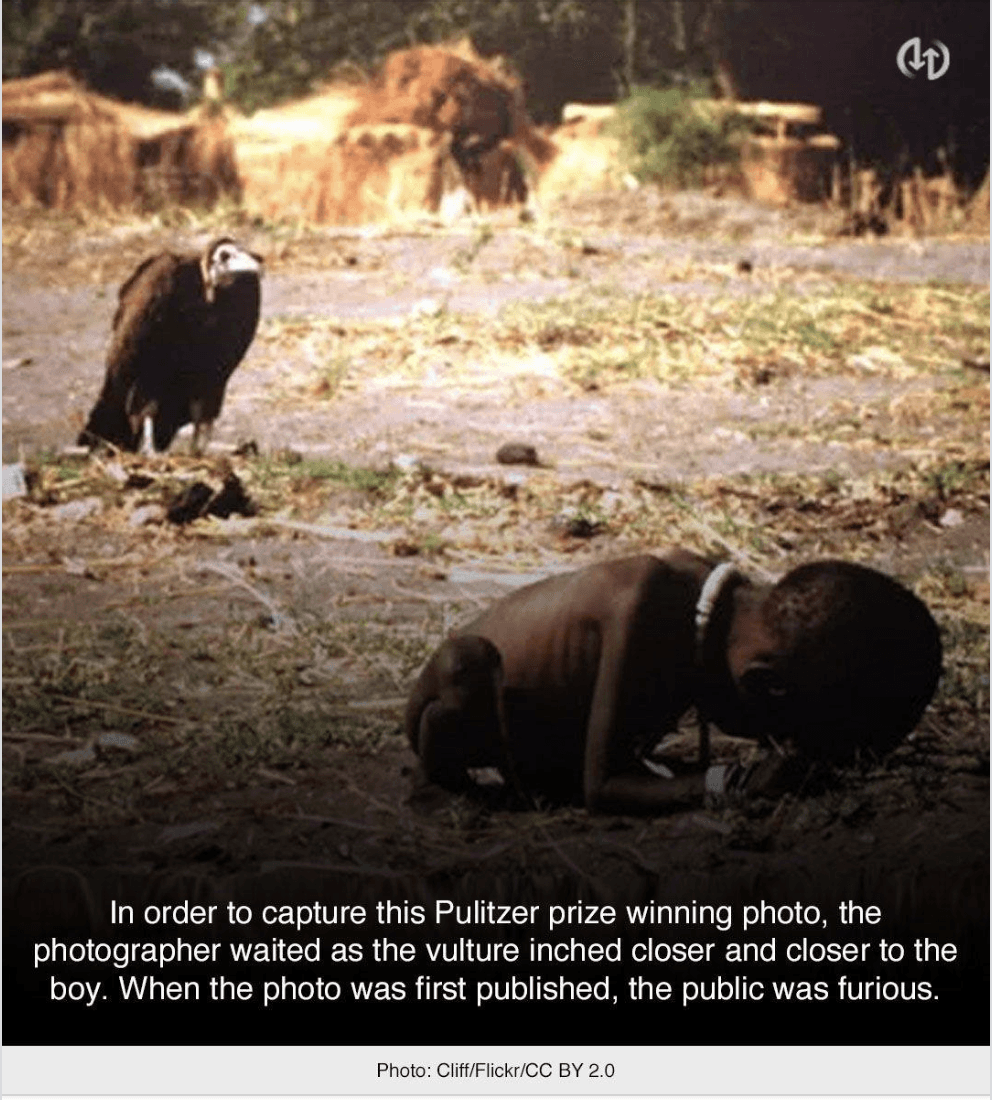 Vulture And Child