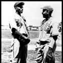 Satchel Paige on Random Best Players in Baseball Hall of Fam