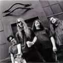 Screaming Trees on Random Best Musical Artists From Washington