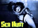 Sea Hunt on Random Best 1960s Action TV Series