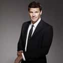 Seeley Booth on Random Best Dressed Male TV Characters