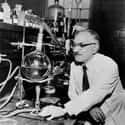 Dec. at 85 (1888-1973)   Selman Abraham Waksman was an Ukrainian-born, Jewish-American inventor, biochemist and microbiologist whose research into organic substances—largely into organisms that live in soil—and their...