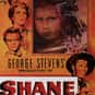 Shane is listed (or ranked) 21 on the list Filmsite's Greatest Films of the 50's