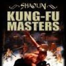The 25+ Best Martial Arts & Kung Fu Movies on Netflix