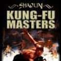 Martial Arts of Shaolin on Random Best Martial Arts Movies Streaming on Netflix