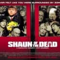 Shaun of the Dead on Random Best Horror Movies of 21st Century