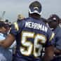Shawne Merriman is listed (or ranked) 2 on the list The Best Los Angeles Chargers Linebackers of All Time