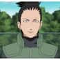 Shikamaru Nara is listed (or ranked) 3 on the list The Smartest Anime Characters of All Time