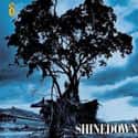 Leave a Whisper, The Sound of Madness, Us and Them   Shinedown is an American hard rock band from Jacksonville, Florida, formed in 2001 and founded by members Brent Smith, Brad Stewart, Jasin Todd, and Barry Kerch.