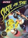 Skate or Die! on Random Single NES Game