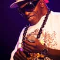 age 75   Sly Stone is an American musician, songwriter, and record producer, most famous for his role as frontman for Sly and the Family Stone, a band which played a critical role in the development of...