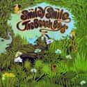 Smiley Smile on Random Best Beach Boys Albums