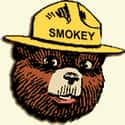 Smokey Bear on Random Most Memorable Advertising Mascots