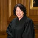 age 64   Sonia Maria Sotomayor is an Associate Justice of the Supreme Court of the United States, serving since August 2009.