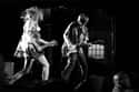 Sonic Youth on Random Best Experimental Rock Bands/Artists