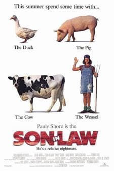 List of 50+ Movies With Law in the Title, Ranked