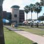 South Texas College is listed (or ranked) 23 on the list The Cheapest Colleges in Texas