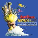 Neil Innes , John Du Prez , Eric Idle   Monty Python's Spamalot is a musical comedy adapted from the 1975 film Monty Python and the Holy Grail.