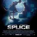 Adrien Brody, Sarah Polley, Delphine Chanéac   Splice is a 2009 Canadian-French science fiction horror film directed by Vincenzo Natali and starring Adrien Brody, Sarah Polley, and Delphine Chanéac.