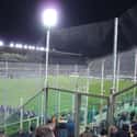 Stadio Artemio Franchi on Random Top Must-See Attractions in Florence