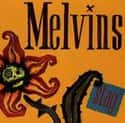 Stag on Random Best Melvins Albums
