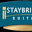 Staybridge Suites on Random Best Hotel Chains