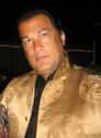 Steven Seagal on Random Celebrities Who Have Been Charged With Domestic Abuse