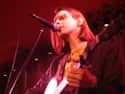Steven Wilson on Random Best Neo-progressive Rock Bands